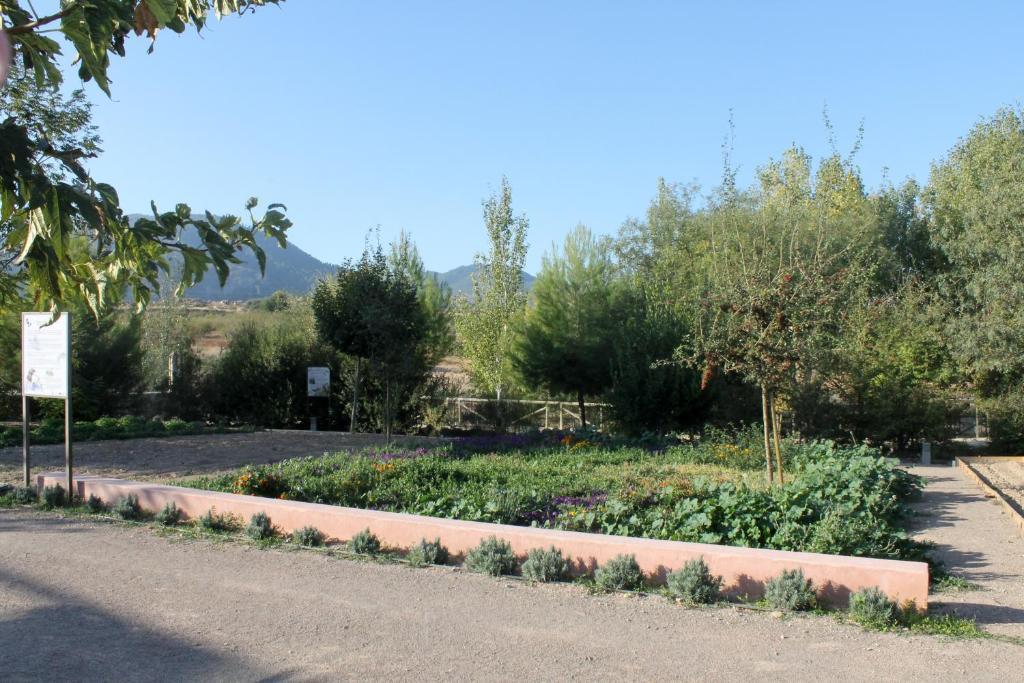 Centro De Agroecologia Y Medio Ambiente De Murcia Bullas Cameră foto