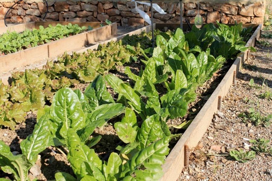 Centro De Agroecologia Y Medio Ambiente De Murcia Bullas Exterior foto